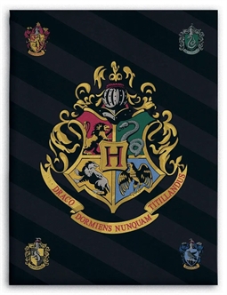 Børnetæppe - Harry Potter - 100x140 cm - Blødt og lækkert Fleece tæppe - Borg Living